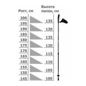 Палки для скандинавской ходьбы KV+Prestige 100% Carbon