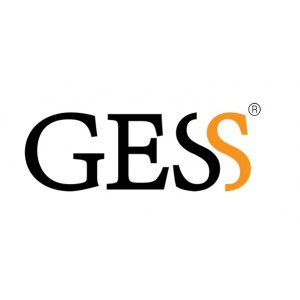 Виброплатформа GESS SHAKE